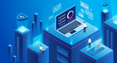 what is a software house