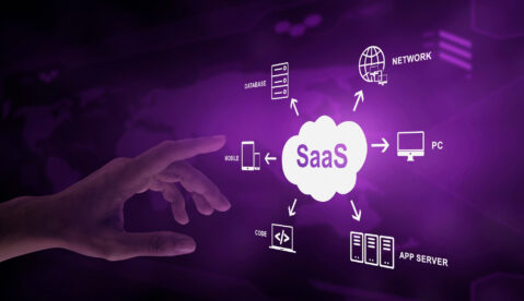 How Do You Scale a Consulting Business and Create a SaaS Product Based on Your Expertise illustration 2